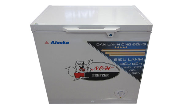 Thiết kế tiện lợi trên tủ đông ALaska BD-300C