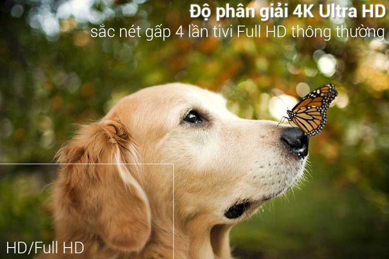 Độ phân giải Ultra HD 4K - Smart Tivi LG 4K 49 inch 49SM8100PTA
