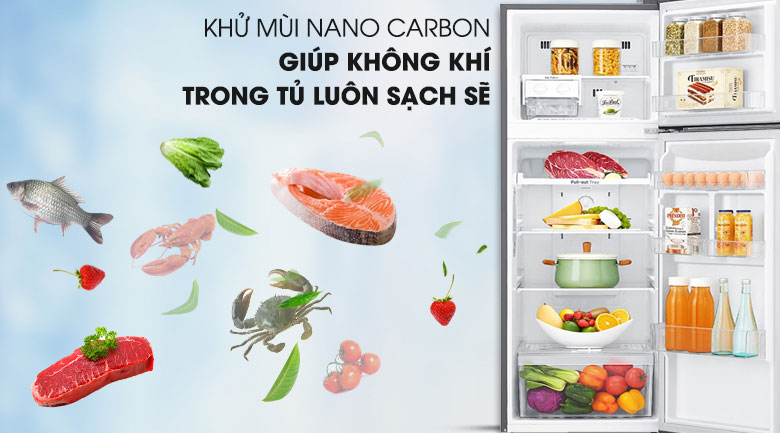 Công nghệ khử mùi Nano Cacbon - Tủ lạnh LG Inverter 255 lít GN-M255BL