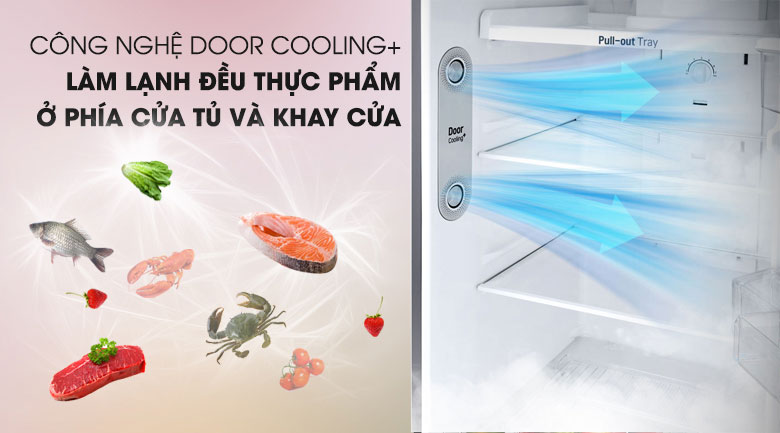 Công nghệ DoorCooling+ - Tủ lạnh LG Inverter 255 lít GN-M255PS