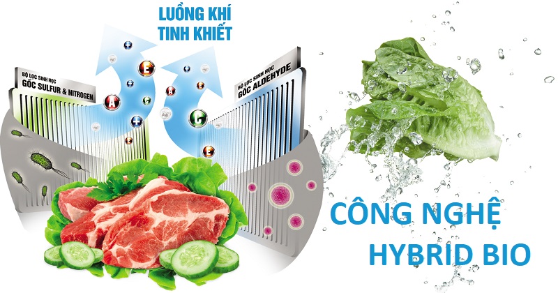 Công nghệ kháng khuẩn, khử mùi Hybrid Bio