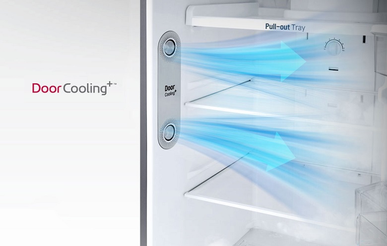 DoorCooling+ - Tủ lạnh LG Inverter 315 lít GN-D315PS