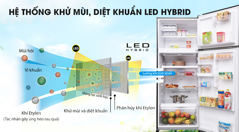Công nghệ Hybrid Bio kết hợp tinh thể bạc Ag+ - Tủ lạnh Toshiba Inverter 409 lít GR-AG46VPDZ XK