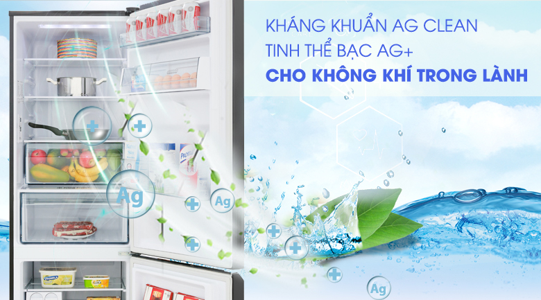 Công nghệ kháng khuẩn Ag Clean - Tủ lạnh Panasonic Inverter 322 lít NR-BC360QKVN