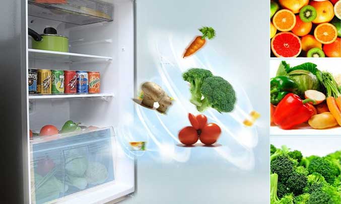 Tủ lạnh Panasonic 271 lít NR-BL308PSVN giữ rau củ quả xanh tươi