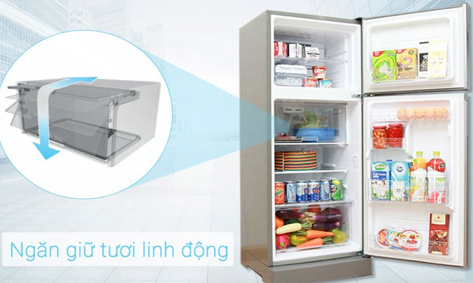 Tủ lạnh Sharp 196 lít SJ-X201E-DS ngăn trữ tươi linh hoạt, bảo quản thực phẩm tươi ngon
